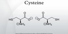 Cysteine Video