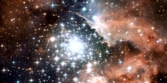 Massive young star clusters in the Milky Way