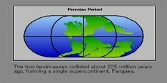 The continental drift