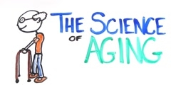 Is aging a disease? Why do we age?