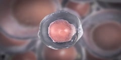 How does dividing cells lead to cancer formation?