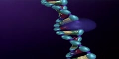 Repair Mechanism of Damaged DNA