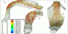 Aerosol Particle Deposition along an idealized extrathoracic