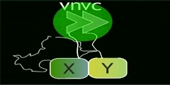 Dynamics of BIFC Complexes