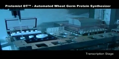 Protemist DT - Automated Wheat Germ Protein Synthesizer