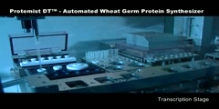 Protemist DT - Automated Wheat Germ Protein Synthesizer