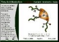 Fatty Acid Metabolism