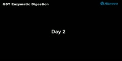 GST Enzymatic Digestion