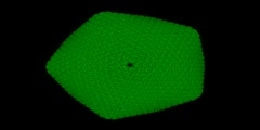 Paramecium Bursaria Chlorella Virus Capsid Structure