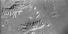 Animal Cell Division video