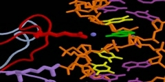 Analysis on p53-DNA Complex