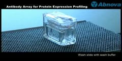 Antibody Array for Protein Expression Profiling