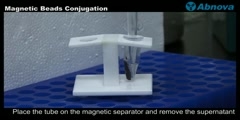 Magnetic Beads Conjugation