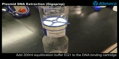Plasmid DNA Extraction (Gigaprep)