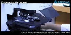 Fluorescent Microscope