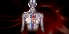 Hypertension Video and its effect on body