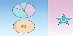 Explanation for tumor suppressor and oncogenes