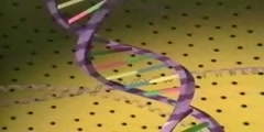 Unique Structure of DNA