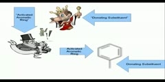 Substituent Effects Videos