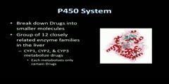 Drug Metabolism