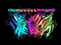 Acetylcholine Binding Protein with Cocaine Bound