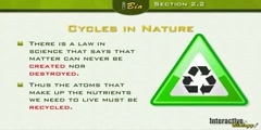 Energy cycle in nature part 2