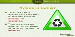 Energy cycle in nature part 2