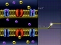 Membrane Voltage