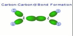Double Bond Formation