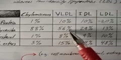 An overview of lipoprotein physiology