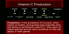 The process of discovery of the importance of Vitamin C