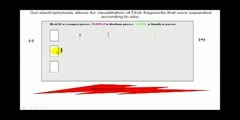 Basic idea behind gel electrophoresis