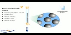 Column Chromatography Protocol