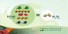 Nutriway training - How supplement work in our body