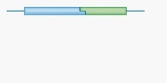 How to Track Protein of Interest? Reporter Proteins.