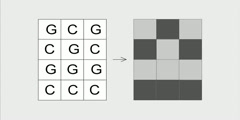 Visual DNA entropy1