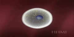 Somatic Cell Nuclear Transfer Animation