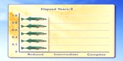 Fossil Record of Fish Evolution