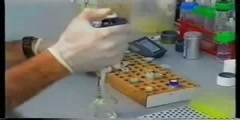 Transgenic Mice part 1