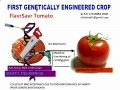 First Genetically Engineered Experiment