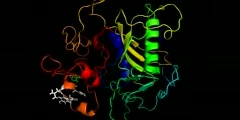 AHSG,  a natural inhibitor of the insulin receptor tyrosine