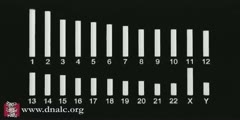 Chromosome Map