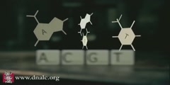 DNA Has Four Units C, A, T, G