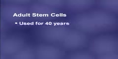 Stem Cells in Body