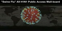 Swine Flu A9 H1N1 Public Access