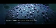 video for Her2 Neu Receptor