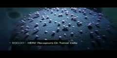 video for Her2 Neu Receptor