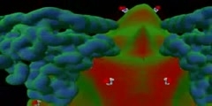 Video of Histone Deacetylation