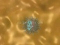 Swine flu outbreak  H1N1 animated video