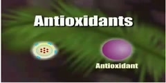 Antioxidants and the they work